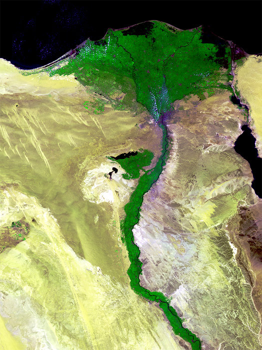 Долина реки Нил в Египте, сфотографированная 24 марта 2014 года спутником Proba-V