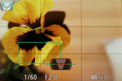 Камера автоматически распознает снимаемую сцену в авторежиме