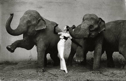 Довима со слонами. Richard Avedon