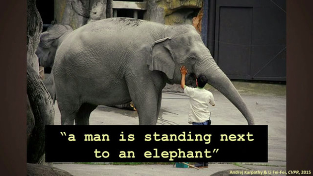 "Мужчина стоит возле слона"