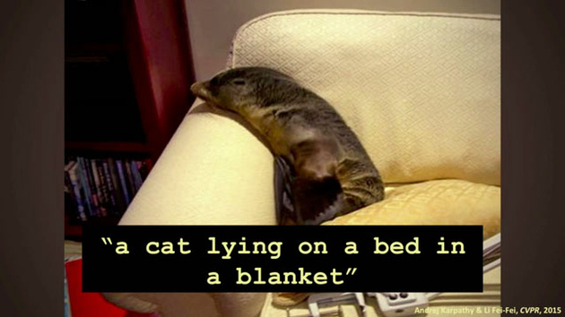 "Кошка лежит на кровати в одеяле"