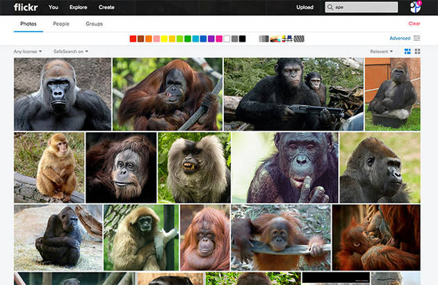 Flickr исправляет «расистскую» функцию, ошибочно назвавшую чернокожего «обезьяной»