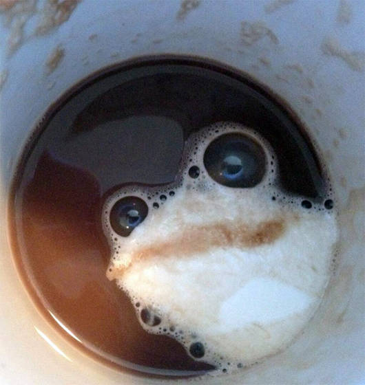 Жаба в кофе