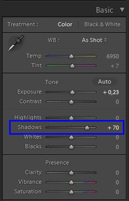 Если мы работаем с файлом в Adobe Lightroom, достаточно отрегулировать параметр Shadows.