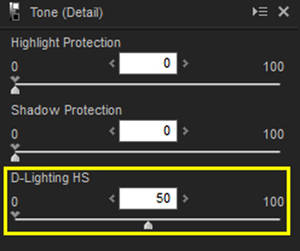 Панель программы Nikon Capture NX-D с настройкой параметра D-Lighting

