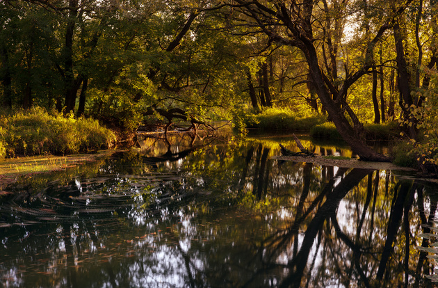 Осенний кадр. Видны следы от плывущих листьев. Они получились благодаря съёмке на длинной выдержке. Nikon D600 / Nikon 24mm f/1.4G ED AF-S Nikkor