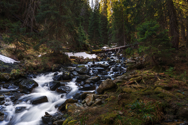 Бурный поток горной реки, снятый весной

Nikon D600 / Nikon 24mm f/1.4G ED AF-S Nikkor