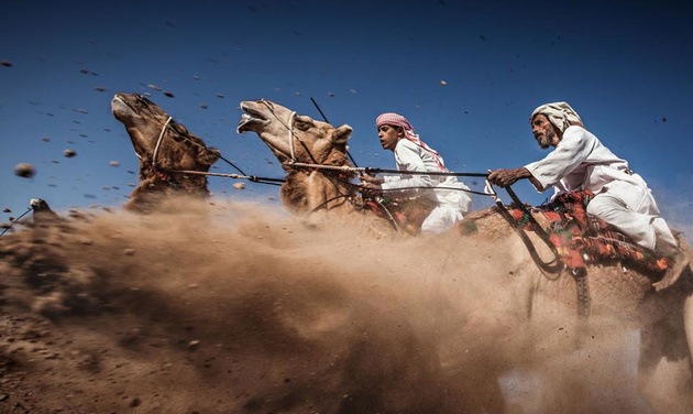 3 место. Ахмед аль-Токи «Скачки на верблюдах» (Оман)