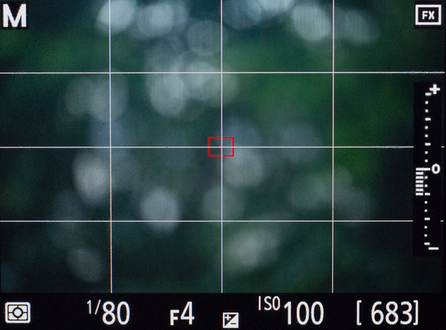 Экран фотокамеры Nikon D810. Красный прямоугольник — зона фокусировки контрастного автофокуса. Она достаточно маленькая для точной фокусировки даже со светосильной оптикой. 
