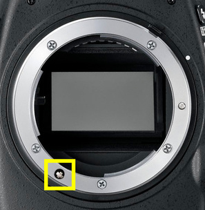 Байонет Nikon F, оснащенный “отверткой”. Им оснащены все остальные зеркалки, начиная с моделей серии D7xxx и “старше”. К примеру, Nikon D7200, Nikon D610, Nikon D750, Nikon D810. На таких аппаратах будут работать любые автофокусные объективы Nikkor.