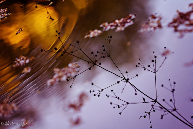 Reflections of Autumn © Alex Greenshpun