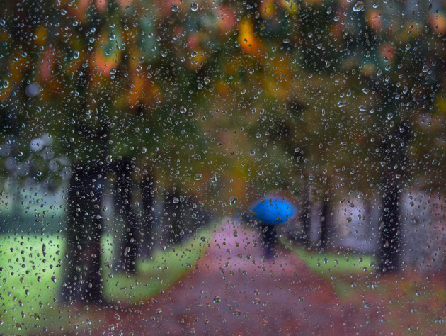 A rainy day © Giorgio Toniolo