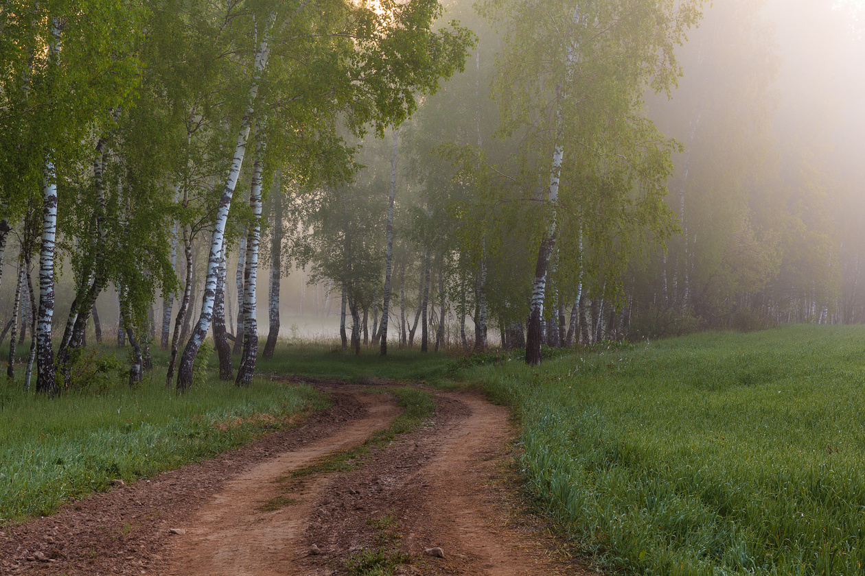 Что такое гистограмма? / Съёмка для начинающих / Уроки фотографии