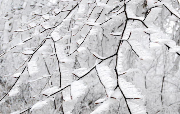 Winter Abstrac © Csilla Zelko