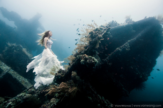 Невероятные подводные фото Бенджамина Фон Вонга