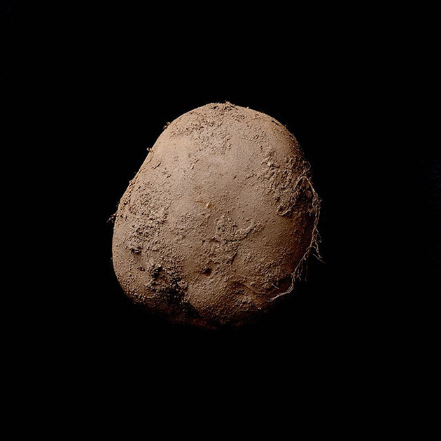 Фотография картофелины продана за рекордную сумму