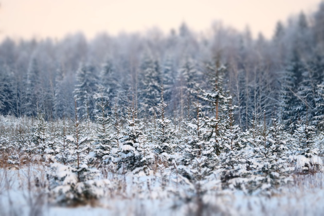 Зимний пейзаж с эффектом миниатюры, снятый на телевик Fujinon XF 50-140mm F2.8