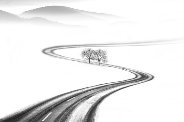 The road to spring © Nikos Bantouvakis
