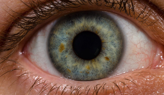 Человеческий глаз настолько чувствителен, что может увидеть единичный фотон