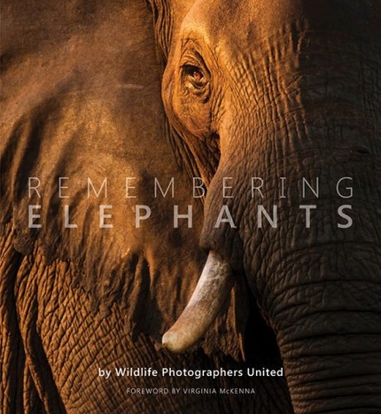 Remembering Elephants – фотокнига, которая поможет слонам