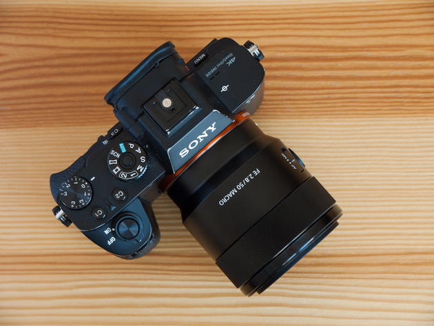 Тест объектива Sony FE 50mm f/2.8 Macro (SEL50M28)