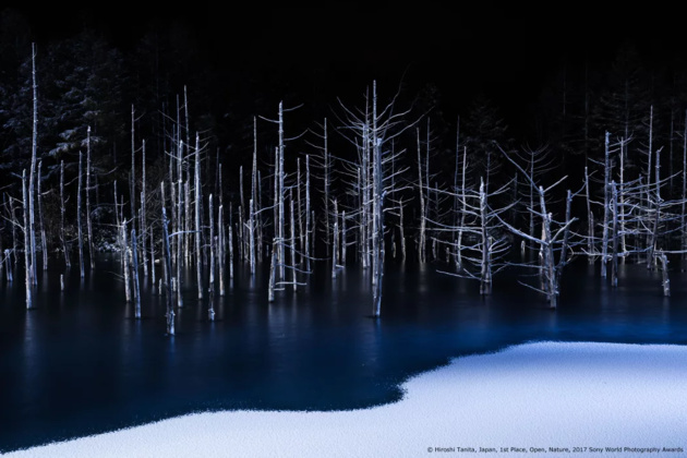 © Hiroshi Tanita, Japan, 1st Place, Open, Nature, 2017 Sony World Photography Awards
Граница между синим и белым, льдом и снегом возникла на пруду, где зимой появился тонкий лёд.
