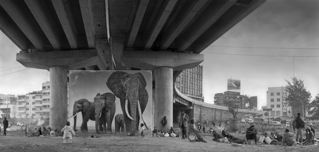Ник Брандт. Слоны под мостом (Расслабься, твоя жизнь идет по верной колее), 2015 © Ник Брандт