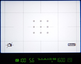 Окошко видоискателя: внизу — информационная панель, в левом углу — значок электронного уровня. Индикация сообщает, что аппарат немного наклонён влево.