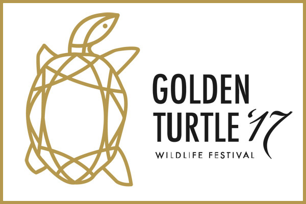 Международный конкурс The Golden Turtle объявляет старт зрительского голосования 