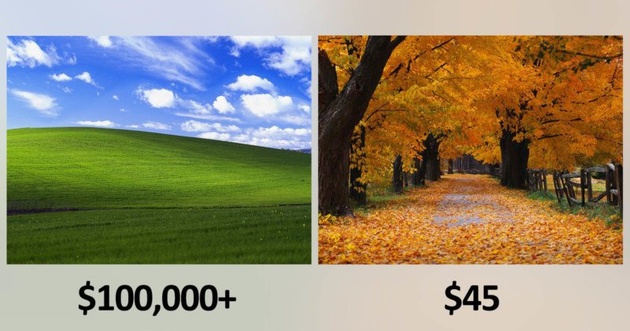 За фото «Безмятежность» Майкрософт заплатил $100000, а за «Осень» – $45