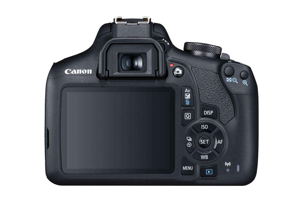 Canon EOS 2000D и EOS 4000D – зеркальные камеры для начинающих / Зеркальные  камеры / Новости фототехники