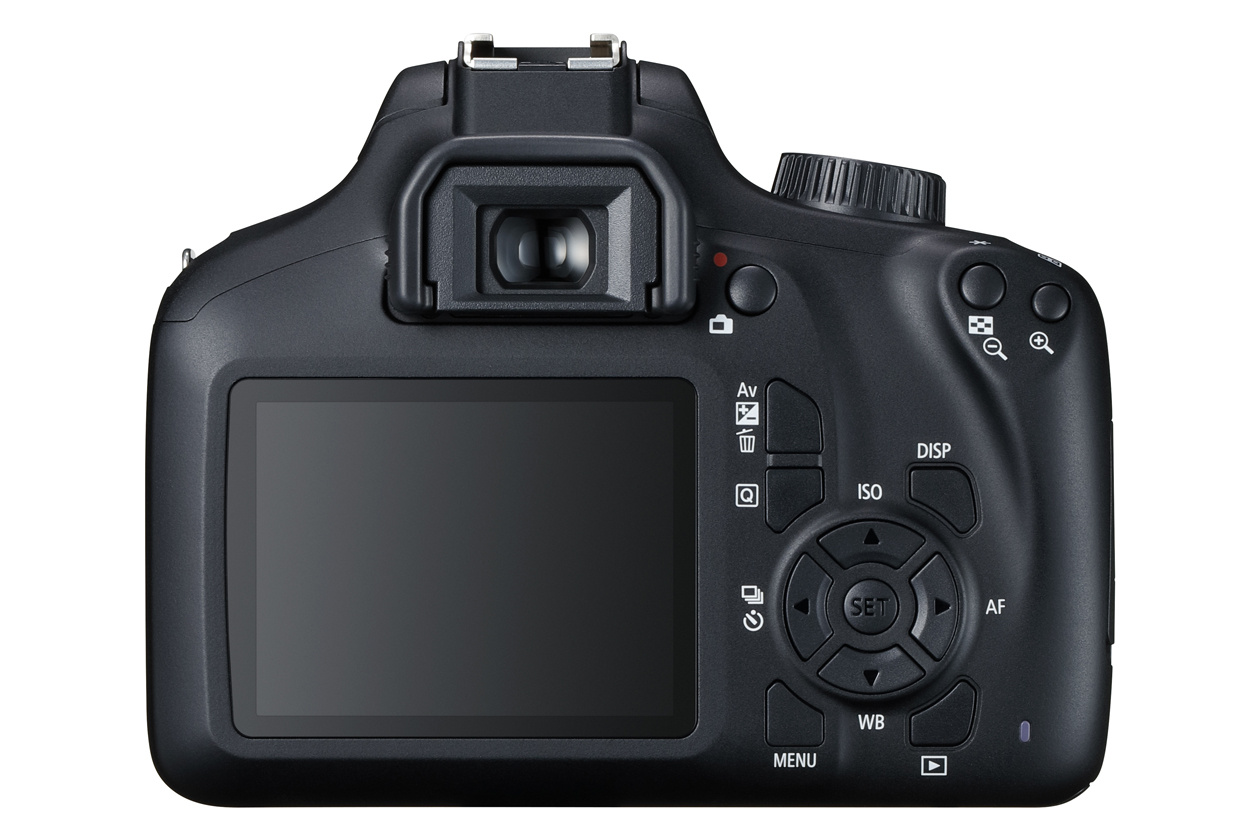 Canon EOS 2000D и EOS 4000D – зеркальные камеры для начинающих / Зеркальные  камеры / Новости фототехники