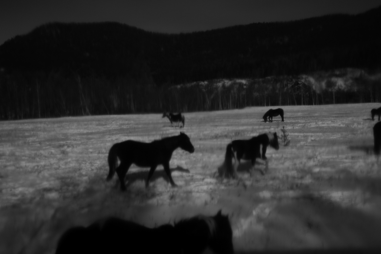 Выставка «Ледяной поход» откроется 21 марта в Галерее Классической  Фотографии / События / Новости фототехники