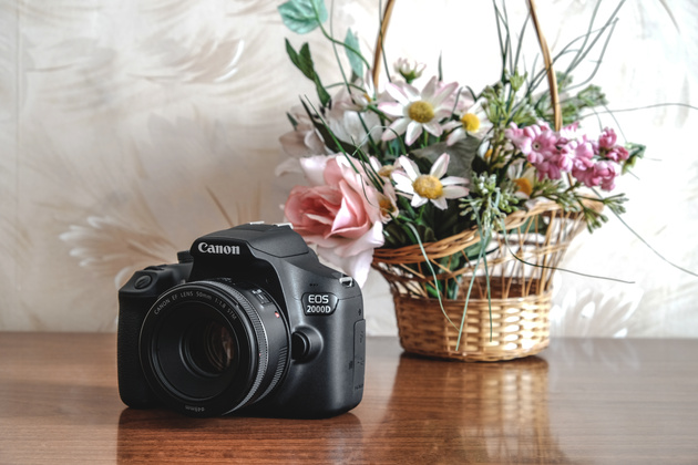 Canon EOS 2000D. Тест фотоаппарата