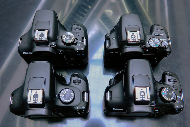 Слева направо, сверху вниз: Canon EOS 4000D, Canon EOS 1300D, Canon EOS 2000D, Canon EOS 200D