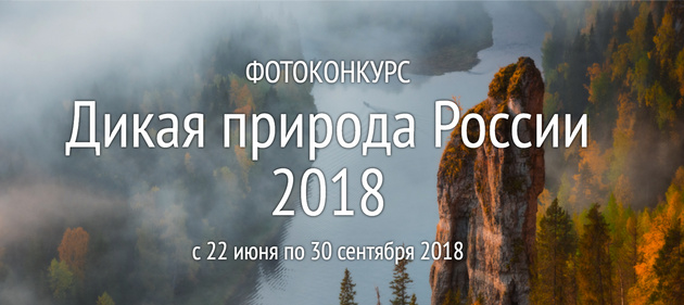 Huawei стала генеральным партнёром фотопроекта «Дикая Природа России - 2018»