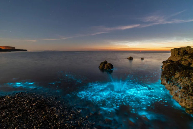Красота биолюминесцентного планктона