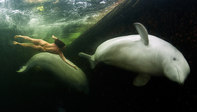 Как снимать подводный мир: советы от фотографа Виктора Лягушкина