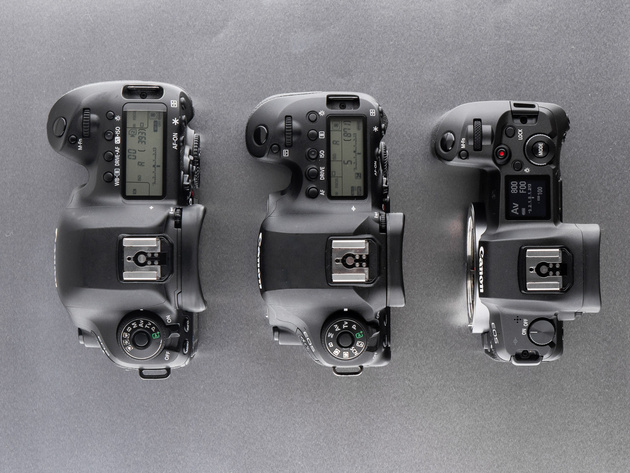 Слева направо: Canon EOS 5D Mark IV, EOS 6D Mark II, EOS R