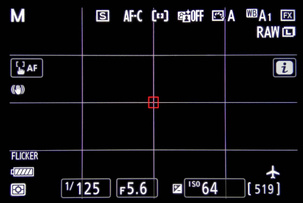 Сетка кадрирования на экране фотоаппарата Nikon Z 7
