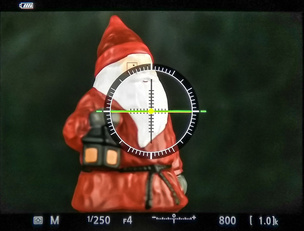 В электронный видоискатель Nikon Z 7 могут быть выведены любые вспомогательные инструменты. К примеру, электронный уровень.