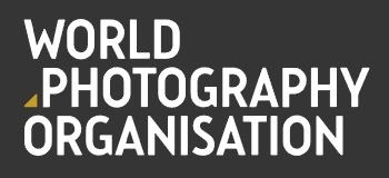 Самый большой конкурс Sony World Photography Awards 2019. Объявлены финалисты в двух категориях.