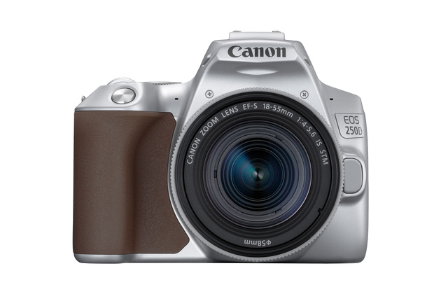 Canon EOS 250D — самая легкая в мире зеркалка с поворотным экраном