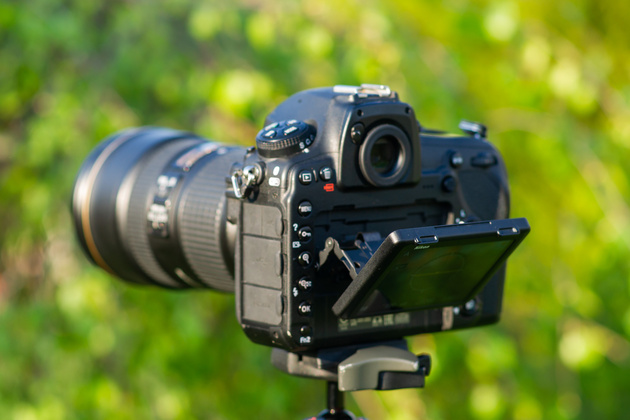 Консервативный во многом Nikon D850 предоставляет фотографу наклонный сенсорный дисплей.