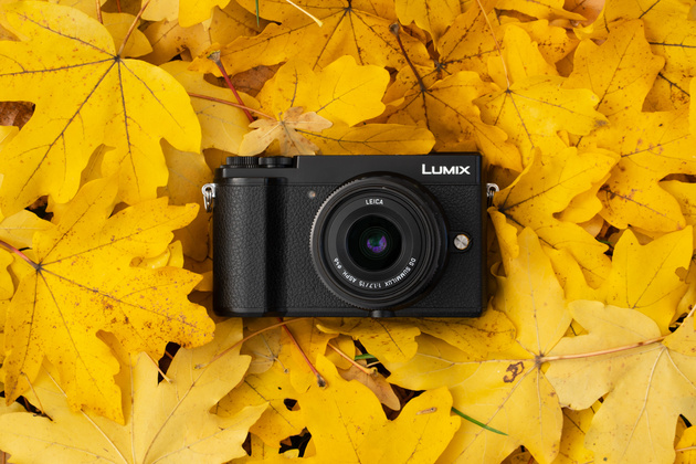 Panasonic Lumix DC-GX9: тест фотоаппарата