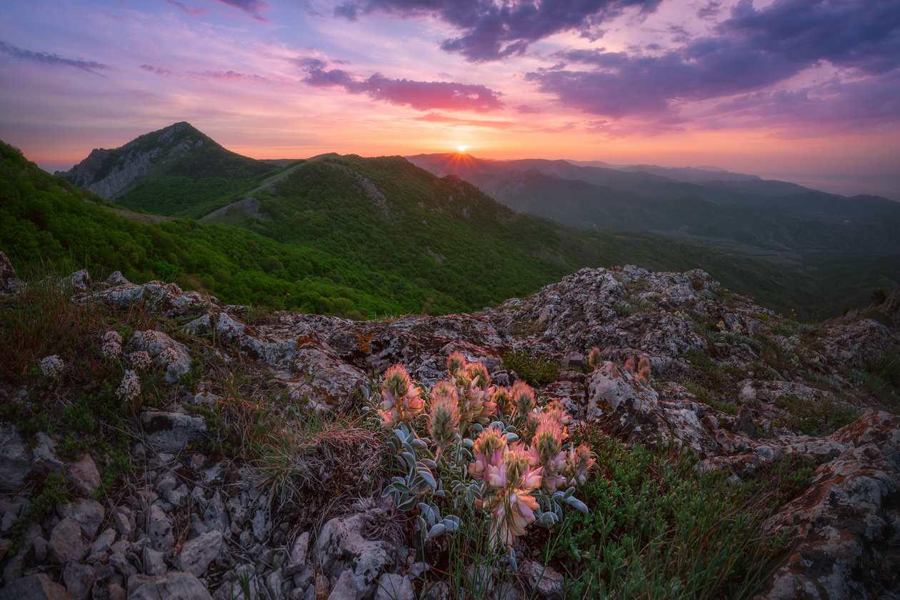 Дифракция в фотографии. Избегаем падения резкости на фото / Съёмка для  начинающих / Уроки фотографии