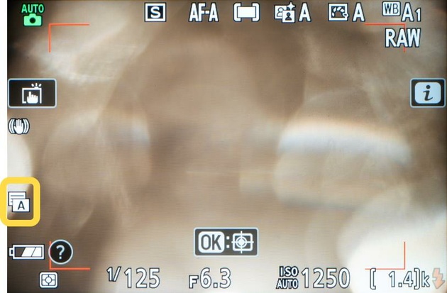 Дисплей фотокамеры Nikon Z 50: кроме прочей съёмочной информации, отображается и режим работы затвора. Иконка с буквой А говорит о том, что выбран авторежим.