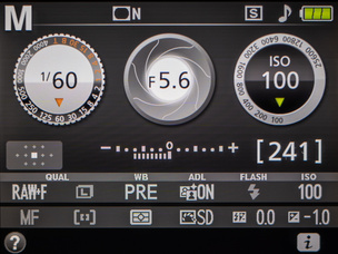 Информационный дисплей фотокамеры: установлена выдержка 1/60 с. 