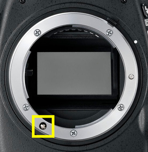 Байонет Nikon F, оснащённый «отвёрткой». Он есть во всех старших зеркалках, начиная с моделей серии D7xxx: например, Nikon D7500, Nikon D610, Nikon D750, Nikon D780, Nikon D850. На таких камерах будут работать любые автофокусные объективы Nikkor.