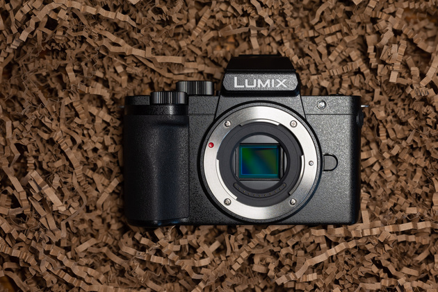 Обзор и тест беззеркальной камеры Panasonic Lumix DC-G100